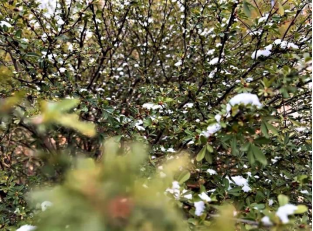 匠心“7+5”名班主任工作室微课堂—— 学长学姐有话说之“雨生百谷，梦生韶华”